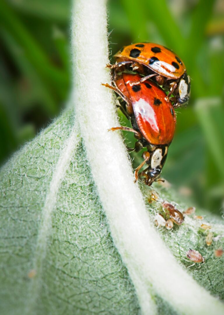 Hello World Featured Image